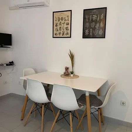 Apartment Tropical Vibe